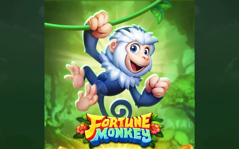 fortune monkey