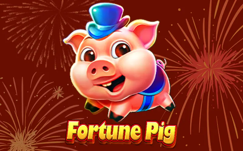 fortune pig